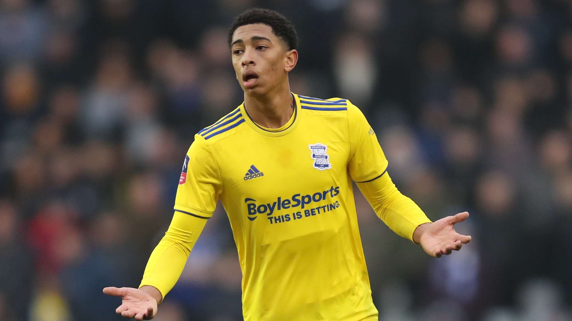 如果泰尔齐 如果泰尔齐