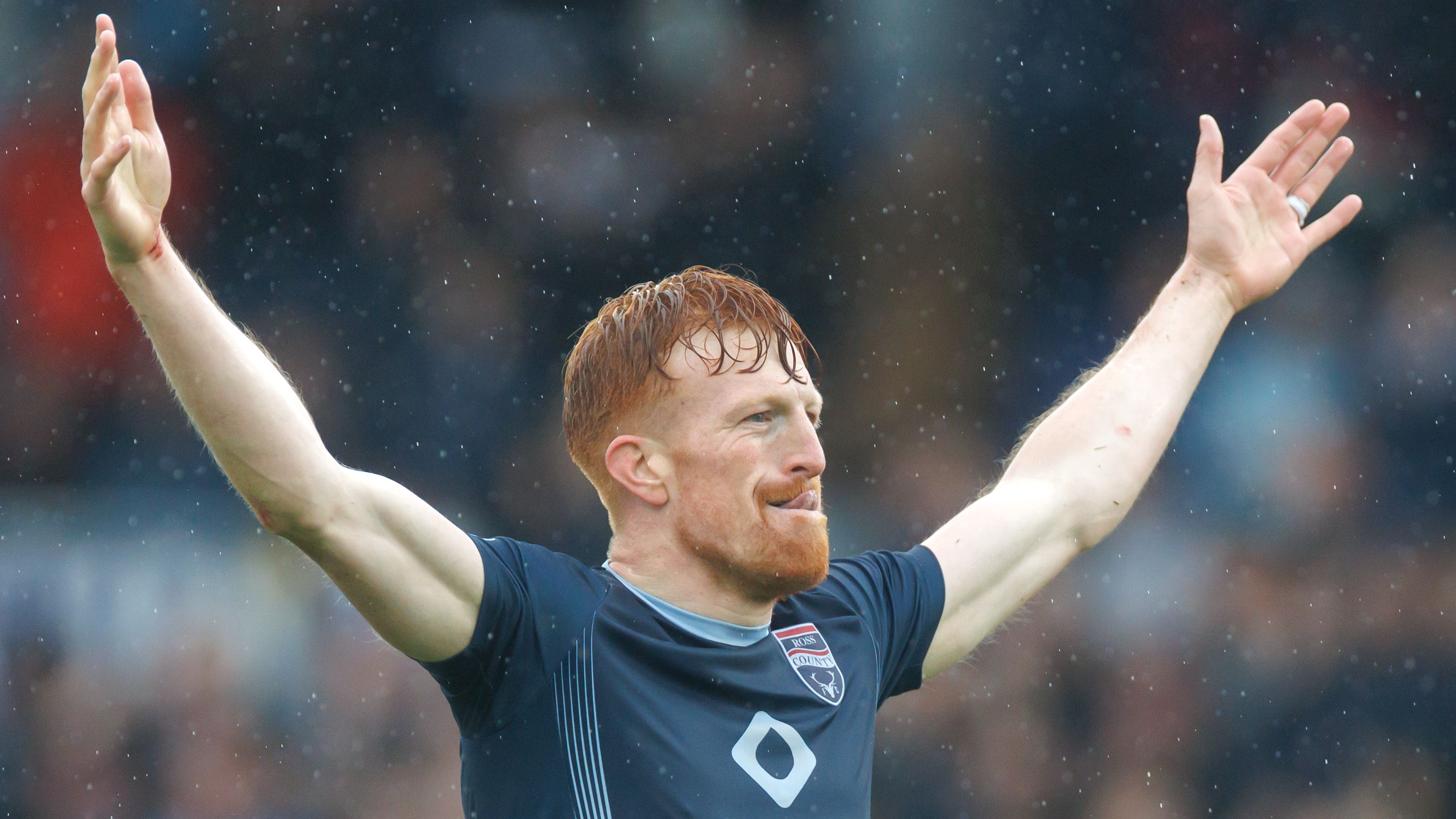 费斯在这个 费斯在这个